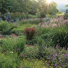 How To Design A Stylized Meadow Garden