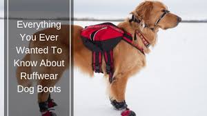 Ruffwear Dog Boots Are They Worth The Price Tag
