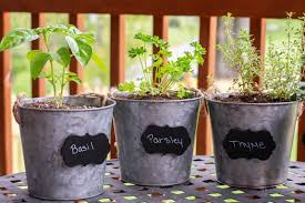 Easy Diy Herb Garden Planter Idea