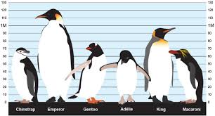 Emperor Penguins Colony A New Metaheuristic Algorithm For