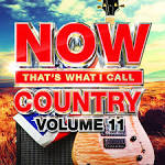 Now That's What I Call Country, Vol. 11