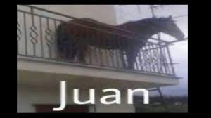 The comedian was 65 years old and is reported to have been suffering from a long illness. Juan Meme Juan Horse Meme Juan Memes Compilation Juan Horse On Balcony Know Your Meme