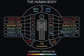 elements in the human body and what they do