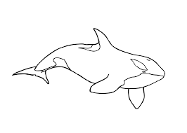 These alphabet coloring sheets will help little ones identify uppercase and lowercase versions of each letter. Orca Whale Coloring Page Coloring Home
