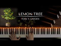 lemon tree fools garden piano
