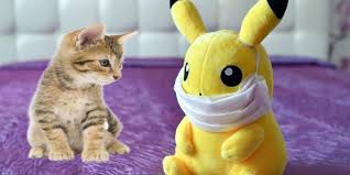 150 cute pokemon names for cats with