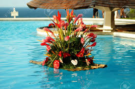 We did not find results for: Wedding Flower Bouquet Floating In The Pool Stock Photo Picture And Royalty Free Image Image 2742783