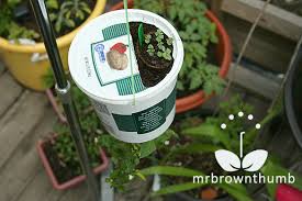 Mrbrownthumb Upside Down Pepper Planter
