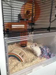 Qute Hamster Cage Gerbil Cages