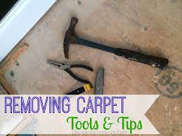 removing carpet chaotically creative