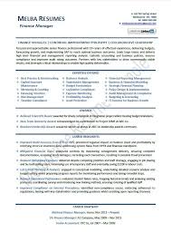Finance manager requirements and skills. Finance Manager Resume Example Template Executive Samples Quotes Resume Examples Resume Writing Services Professional Resume Writing Service