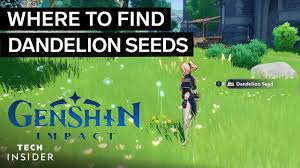 find dandelion seeds in genshin impact