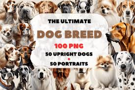50 dog breed 100 png upright portraits