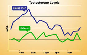 How To Naturally Increase Your Testosterone Lifestyle Updated