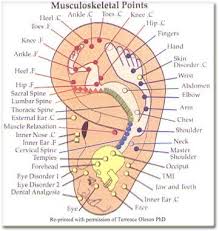 Ear Acupressure Chart Life Acupuncture Points