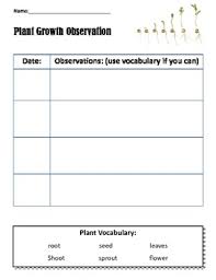 Plant Observation Chart With Vocabulary