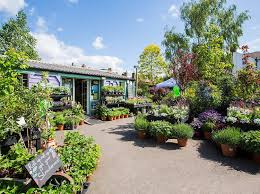 Best Garden Centres And Plant S In