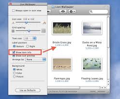 Show Image Dimensions In Mac Os X