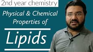 physical and chemical properties of