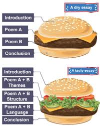     best Literacy Anchor Charts images on Pinterest   Teaching ideas   Teaching reading and Teaching writing The Write Site   The University of Sydney