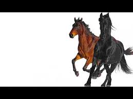 lil nas x s old town road explained
