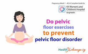 pregnancy week 23 why do pelvic floor