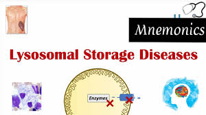 lysosomal storage diseases mnemonics