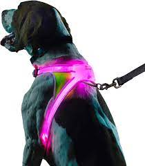 Noxgear LightHound - Revolutionary Illuminated and Reflective Vest for Dogs  Including Multicolored LED Fiber Optics (USB Rechargeable, Adjustable,  Lightweight, Rainproof) (Large) : Amazon.co.uk: Pet Supplies