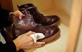 how to remove mold from leather in