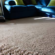 carpet cleaning services in tauranga