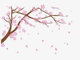 Download in png and use the icons in websites, powerpoint, word, keynote and all common apps. National Blossom Festival Free Falling Cherry Blossoms Png Transparent Png 1692x1196 Free Download On Nicepng