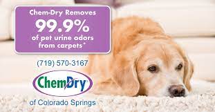 pet odor removal chem dry of colorado