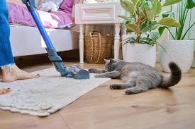 cleaning house with vacuum cleaner