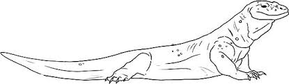 The komodo dragon is the world's largest lizard, growing up to 3m (10ft) long. 35 Komodo Dragon Coloring Pages Ideas Dragon Coloring Page Komodo Dragon Komodo