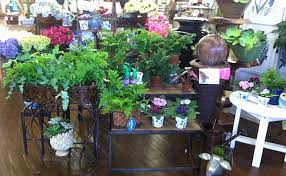 Mayo Garden Center Locally Owned And
