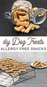 diy dog treats from leftovers 2 recipes