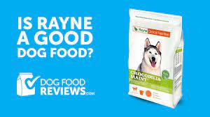 rayne nutrition canned food dog food