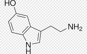 serotonin molecule chemical structure