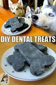 diy dental treats for dogs gone to