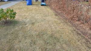 It is recommended to begin shortening your lawn over a span of a few weeks to avoid cutting too much at. Lawn Aeration Stock Video Footage 4k And Hd Video Clips Shutterstock