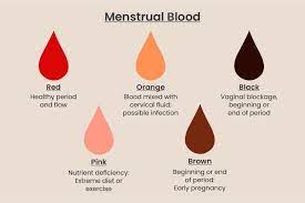 colours of period blood what it says