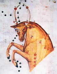 Taurus The Bull Zodiac Signs