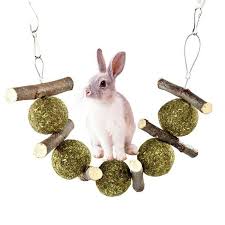 rabbit chew toys with wood toy for