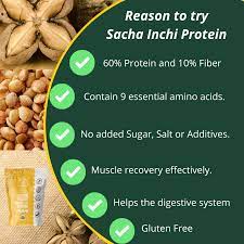 plant based protein powder of sacha