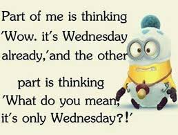 Image result for Wednesday Humor