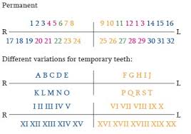 Sarjeevs Supernumerary Tooth Notation System A Universally