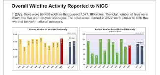 nicc wildland fire summary