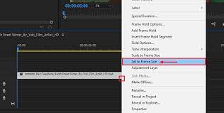how to resize a video in premiere pro