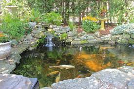 Water Garden Or Koi Pond