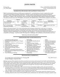 Business Resume Template         Free Word  Excel  PDF Format     toubiafrance com